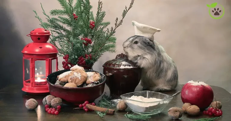 Can Guinea Pigs Eat Apples: Everything You Need to Know